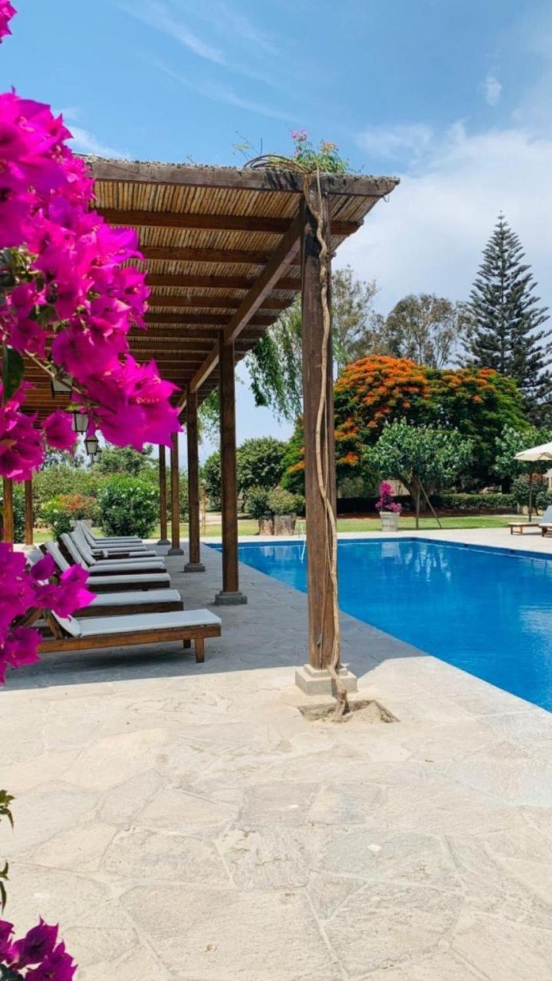 فندق Casa Hacienda San Jose شينشا ألتا المظهر الخارجي الصورة