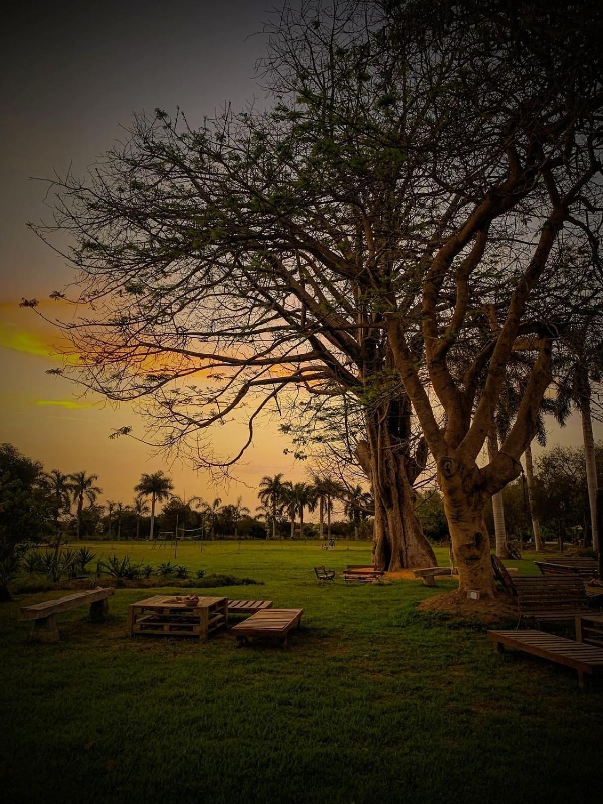 فندق شينشا ألتافي  Casa Hacienda San Jose المظهر الخارجي الصورة