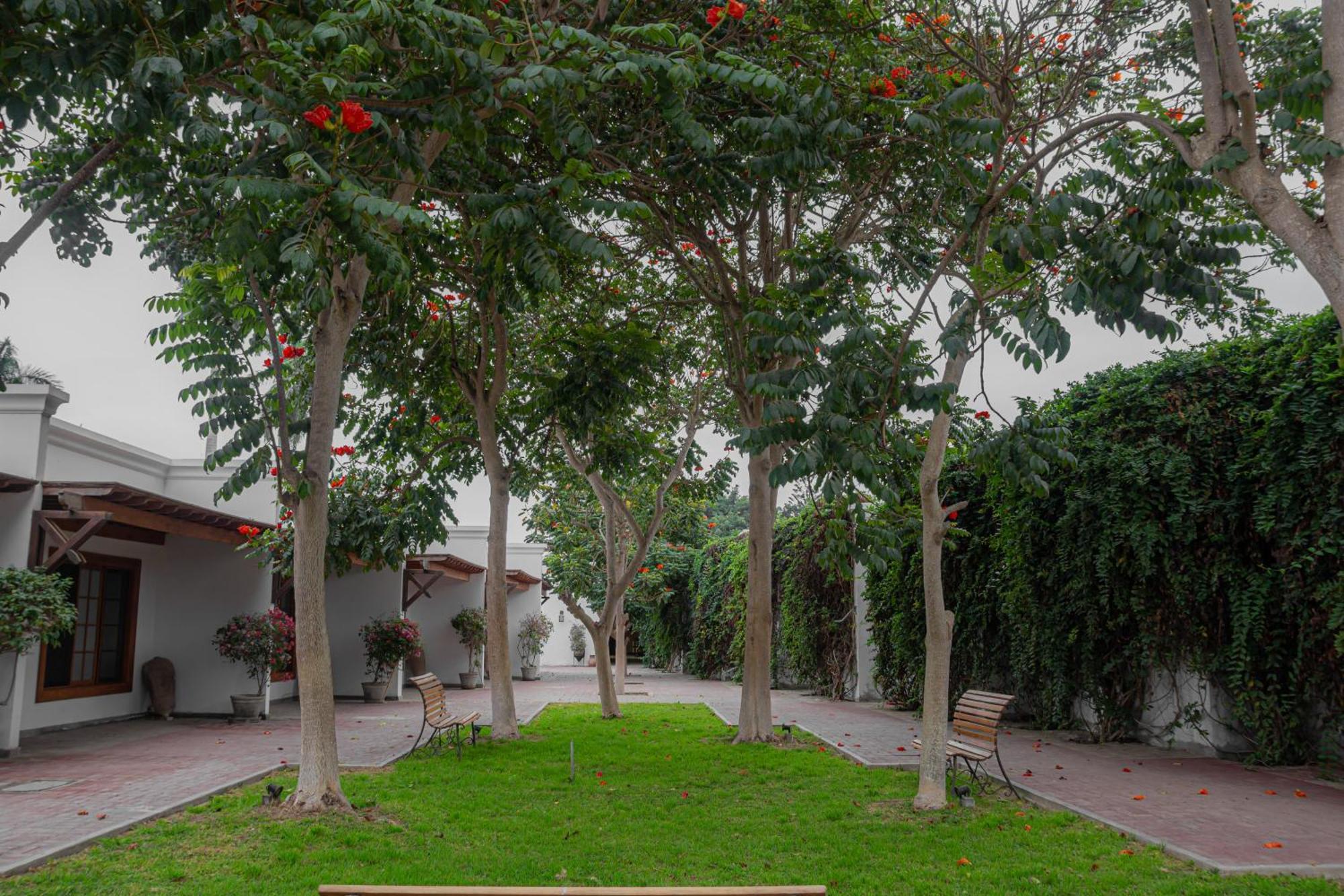 فندق Casa Hacienda San Jose شينشا ألتا المظهر الخارجي الصورة